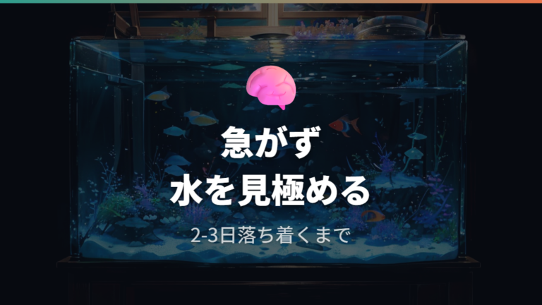 立ち上げで失敗しやすい原因は急ぎすぎと急変にある