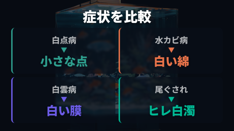 白い斑点やもやの病気を症状別に比べる