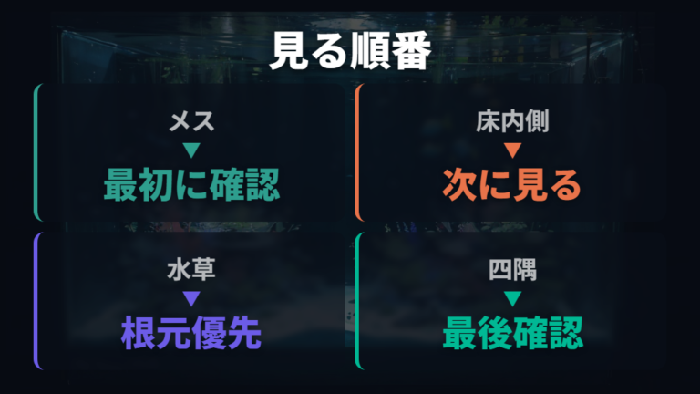 卵が産みつけられやすい場所を順番に確認する