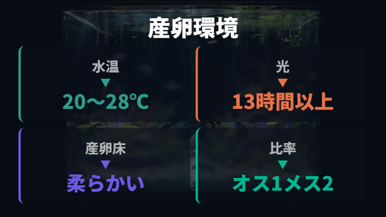 卵を産み付けさせる環境作りは水温・光・産卵床を整える