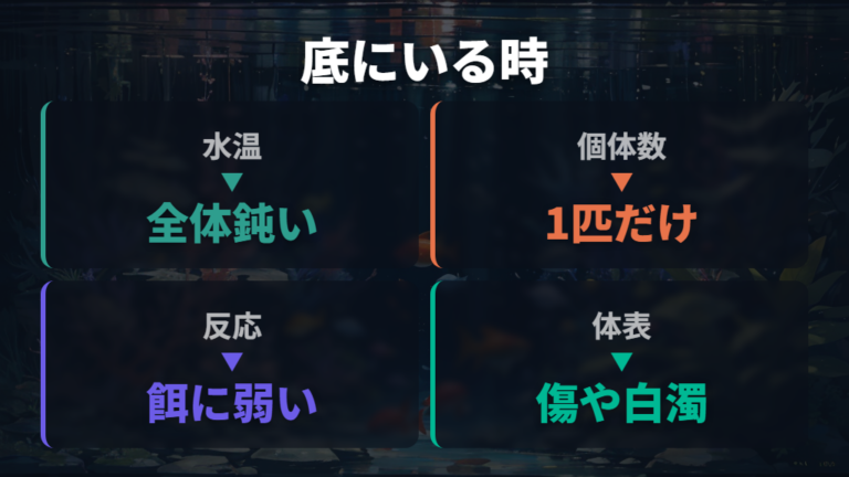 底で動かない時の見分け方は水温と全体傾向で分ける