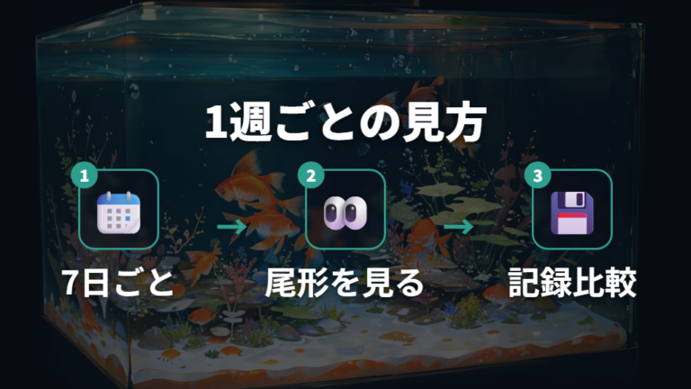 1週間から1ヶ月の成長記録で見る変化