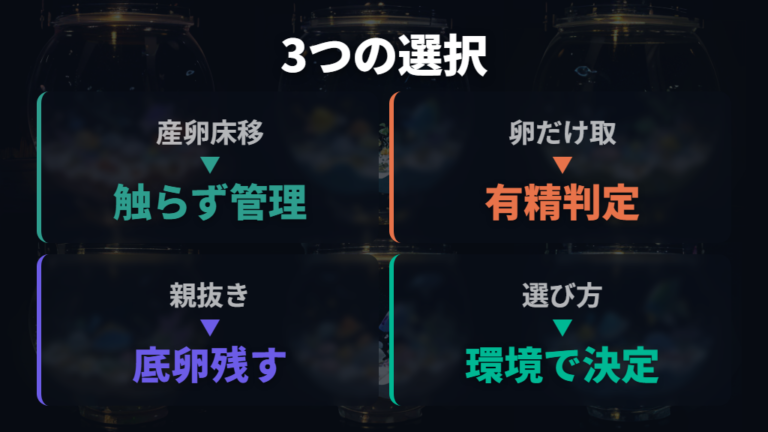 採卵と産卵床の扱い方は3つの方法を比べて選ぶ