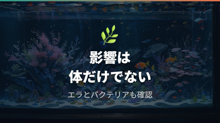 カルキがメダカに与える影響はエラ・粘膜・バクテリアに出る