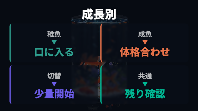 稚魚と成魚で違うエサ選びは粒の大きさから考える