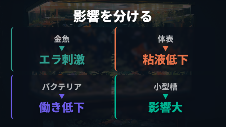 水道水をそのまま使う危険性はバクテリアにも及ぶ