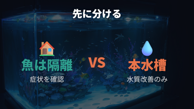魚の隔離治療と本水槽の扱いを分けて考える