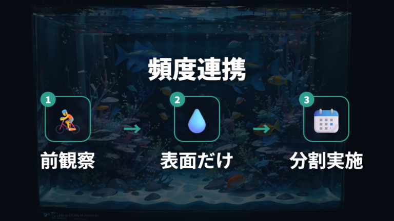 砂利掃除の頻度と手順は水換えのタイミングで組み立てる