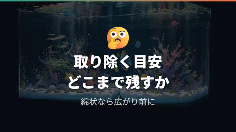 カビた卵は取り除くべきか迷ったときの判断