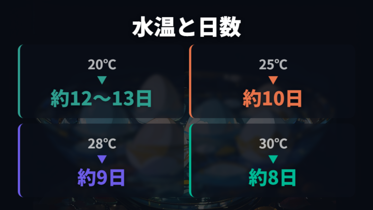 孵化までの日数と水温の関係を表で確認する