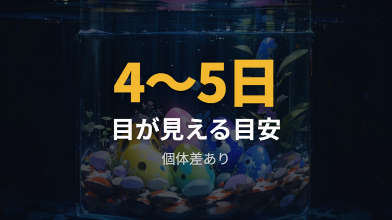 卵の中に目が見える時期を観察する