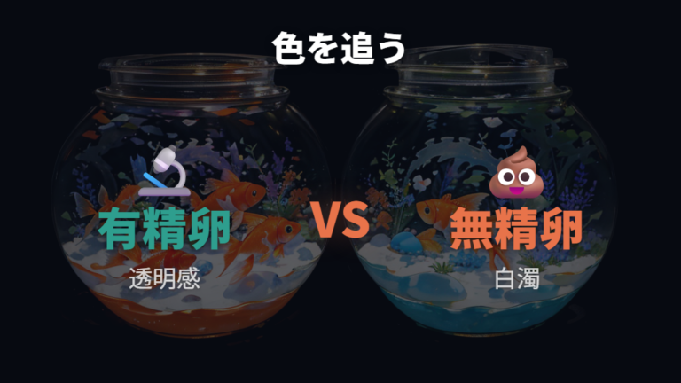 有精卵と無精卵の色の違いは時間を置いて比べる