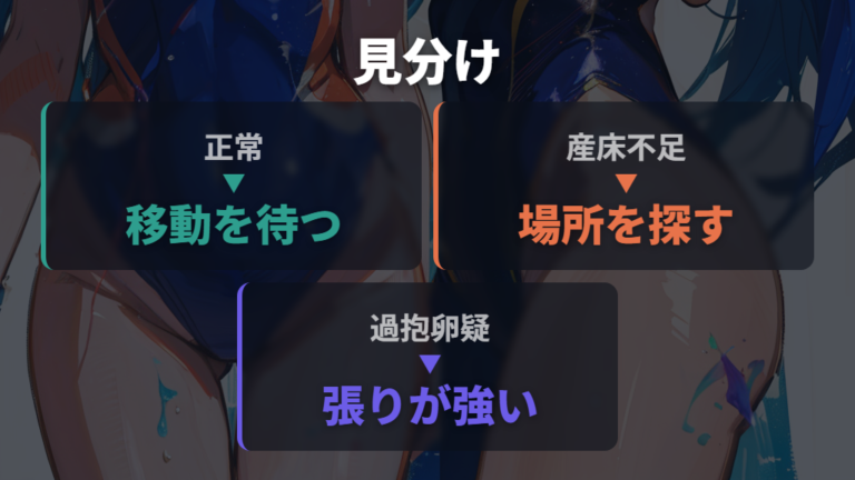 卵詰まりとの見分け方は泳ぎとお腹の張りを比べる
