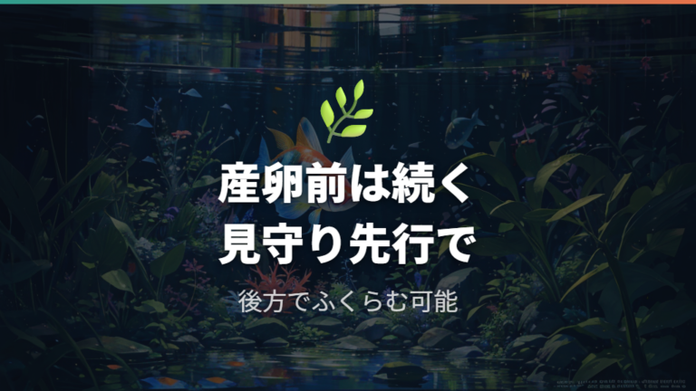 産卵前のメスの特徴は後方のふくらみと産卵環境を見る