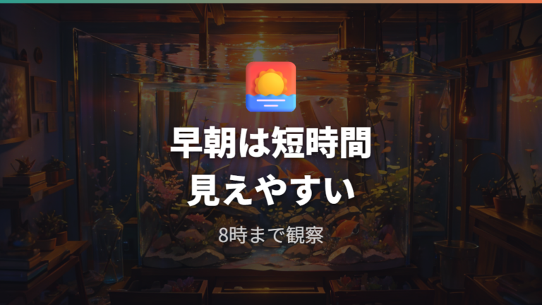 産卵しやすい時間帯は早朝に集中しやすい