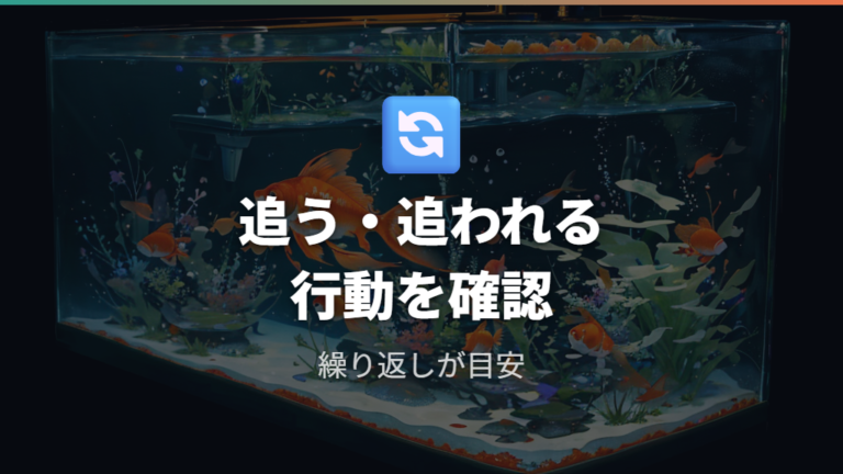 産卵期の行動で分かる性別は追いかける側と追われる側を観察する