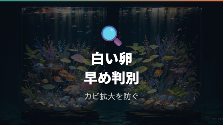 白い卵とカビ卵の見分け方を押さえる
