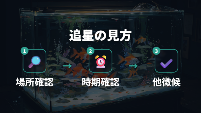 追星が出る時期と見分け方を確認する