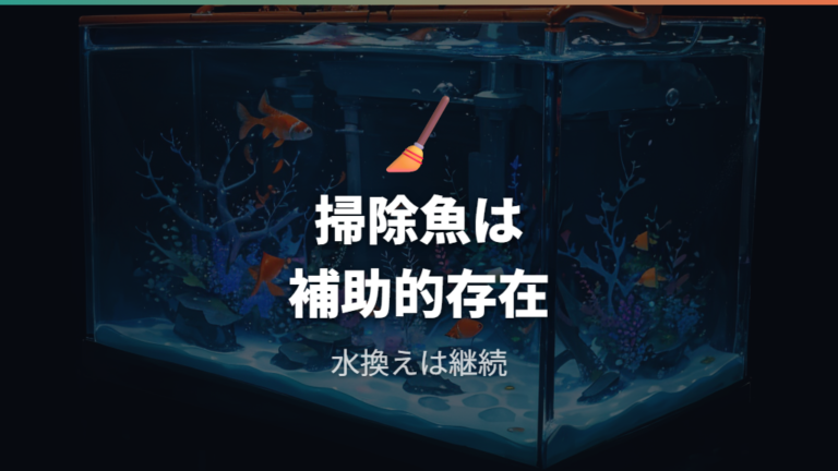 掃除魚で水槽はきれいになるかは補助と考える