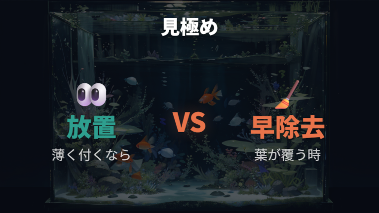 放置してよい茶ゴケと早めに取る茶ゴケの違い