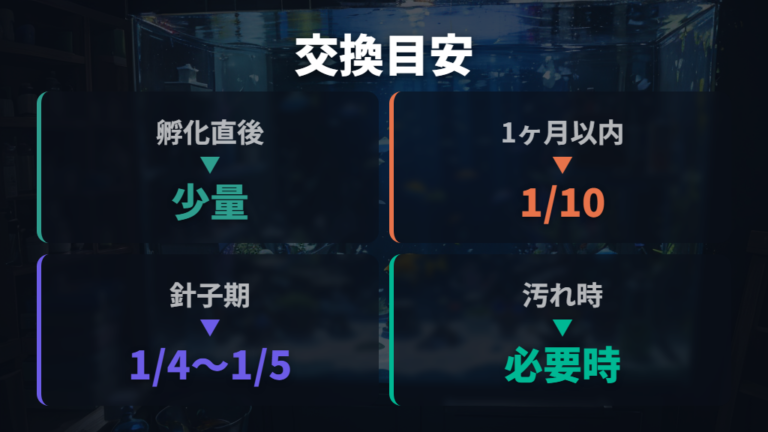 水換えの頻度と一度に替える量は環境で変わる