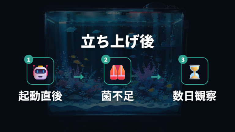 立ち上げ直後は微生物バランスや底砂の粉も原因になる