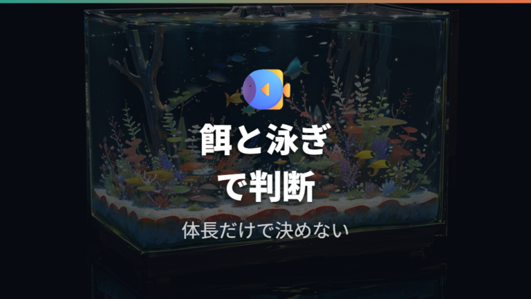 隔離を続けるべき期間は餌と泳ぎ方も見て判断する