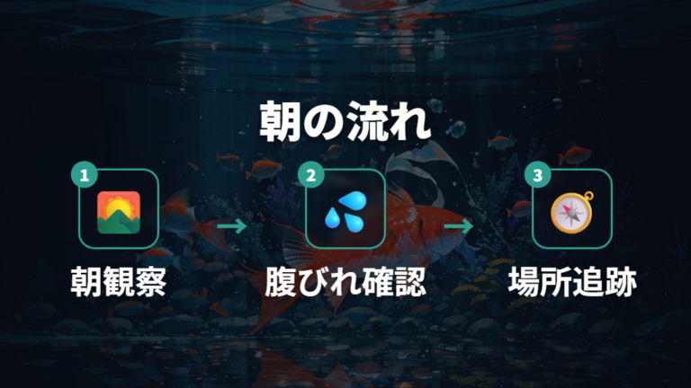 卵を産み付けるまでの流れを朝の観察で追う