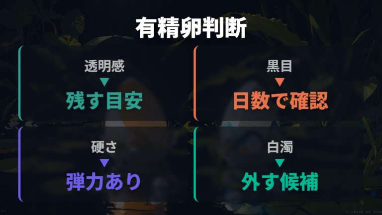 有精卵と無精卵の見分け方を整理する