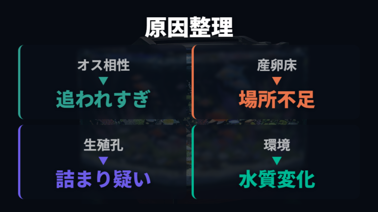 過抱卵が起きる主な原因はオス・産卵床・環境にある