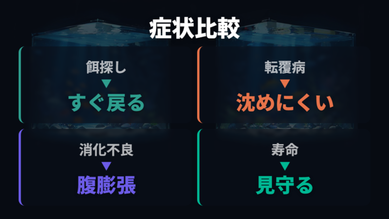 転覆病や浮き袋異常の見分け方を症状で比べる