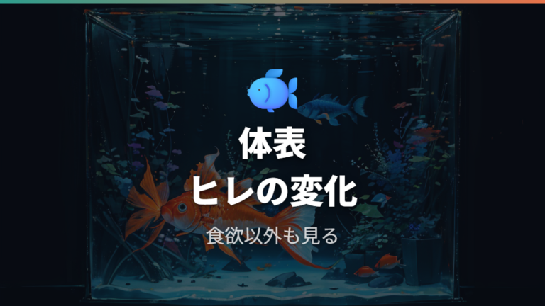 病気が疑われるサインは体表・ヒレ・行動で見る