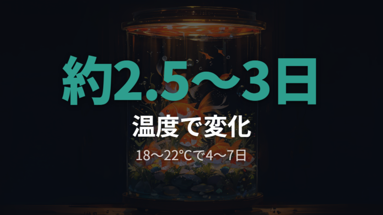 卵が孵化するまでの日数は水温で変わる