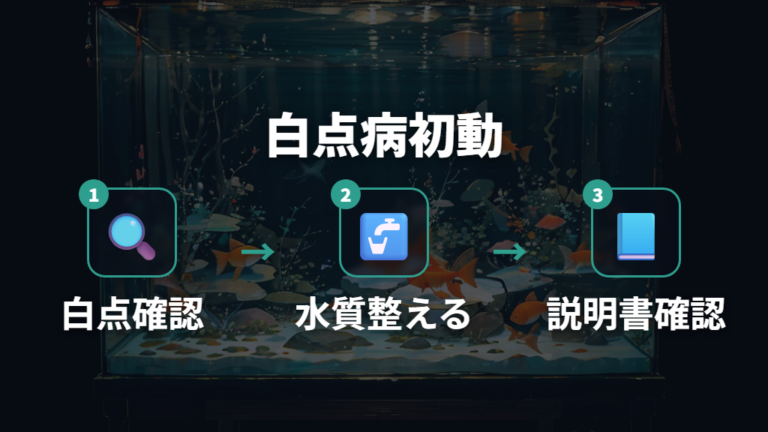 白点病の症状と治療は早めに対応すべき?