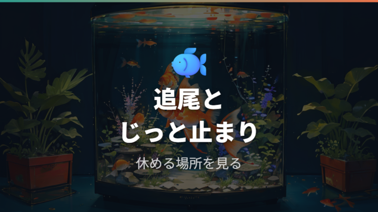 産卵前に見られる行動は追尾と休み方を合わせて見る