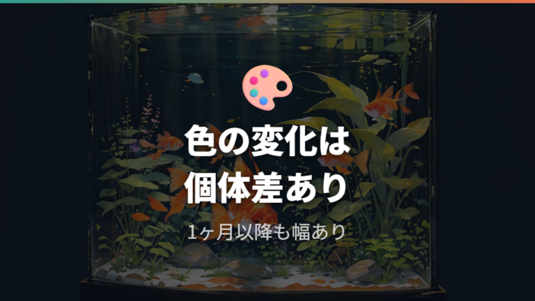 体色が変わり始める時期は1ヶ月以降も幅がある