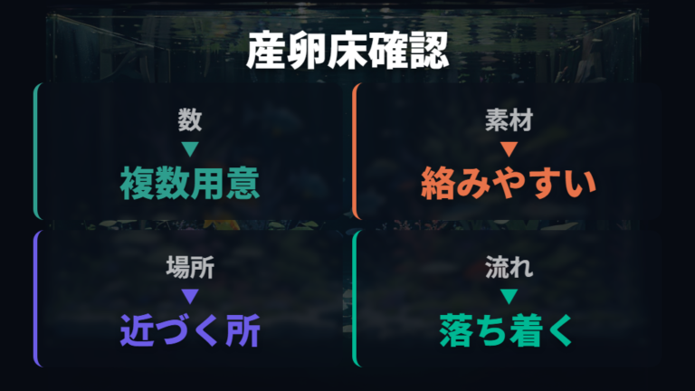 産卵床に卵を付けない原因は数・素材・置き場所を見る