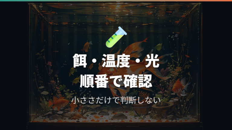 成長が遅いときの原因は餌・水温・環境から確認