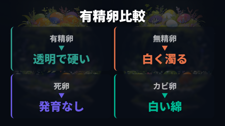 有精卵と無精卵の見た目の違いを比べる