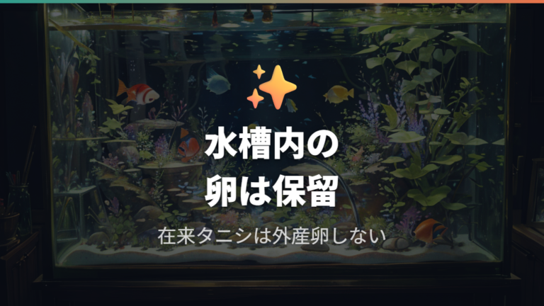 水槽内で見つけた卵の正体はタニシではないことが多い?