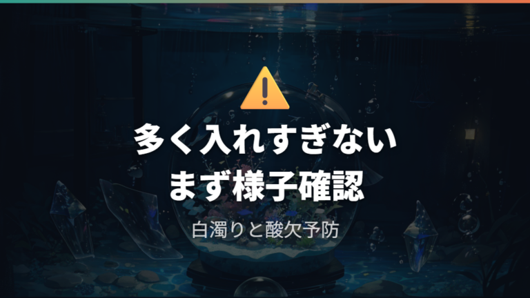バクテリア剤の入れすぎ注意点は白濁りと酸欠