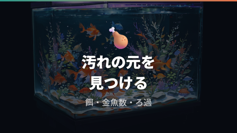 毎日水換えしたくなる原因は水量・餌・ろ過にある