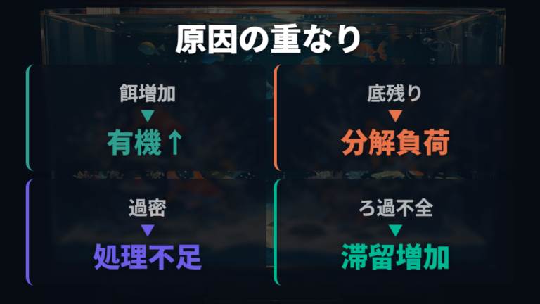 アンモニア中毒が起きる原因は汚れとろ過不足の重なり