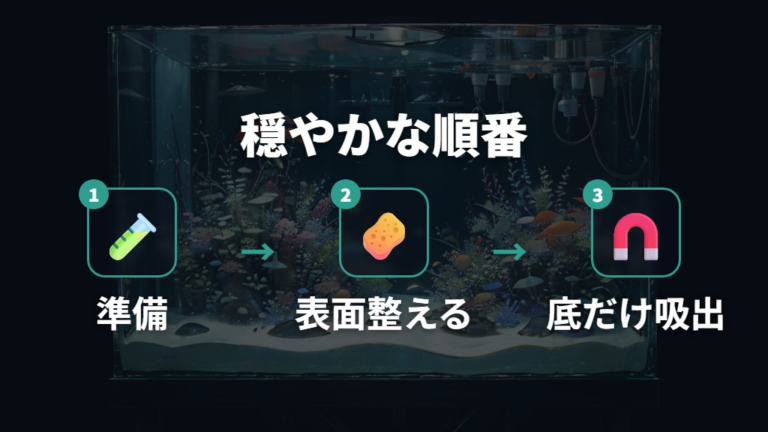 エビに負担をかけない掃除手順を順番に確認する