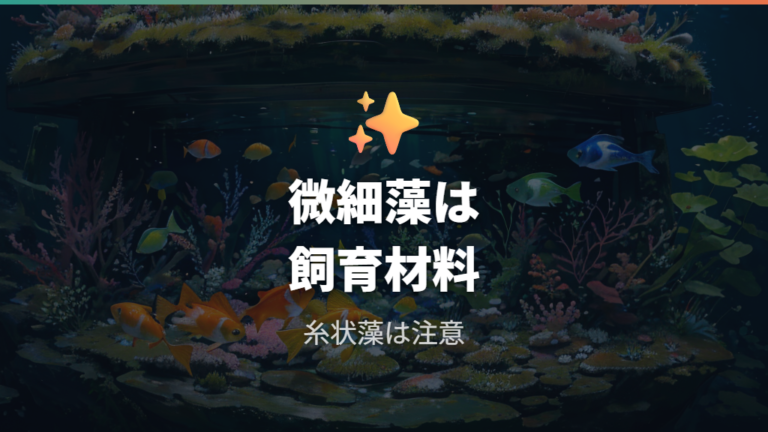 コケはメダカの餌になるのかは微細な藻に限って考える