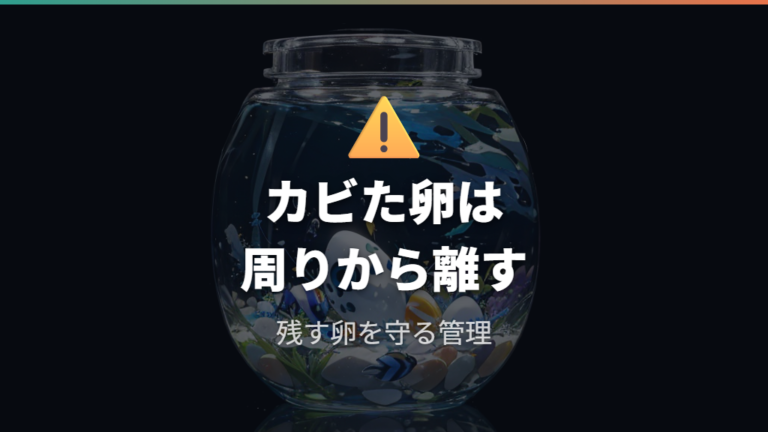 カビた卵はすぐ取り除くべきか判断する