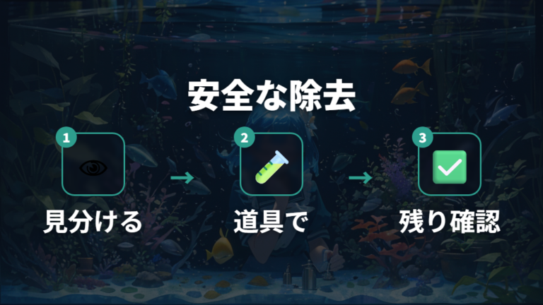 カビ卵の安全な取り方は道具と順番が大切