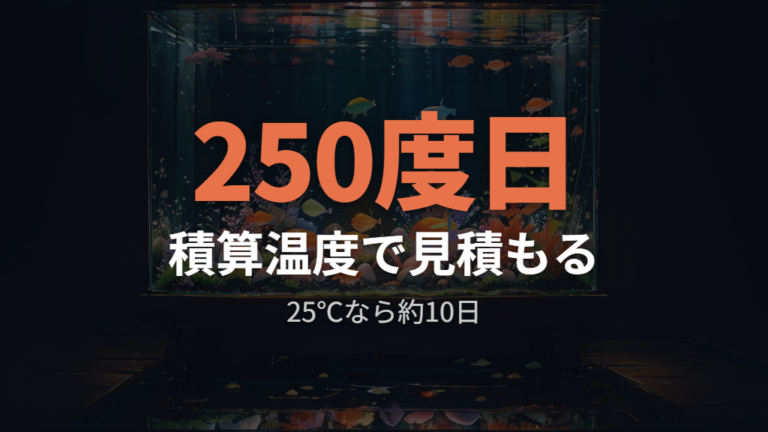 積算温度で見る孵化の目安と計算の使い方