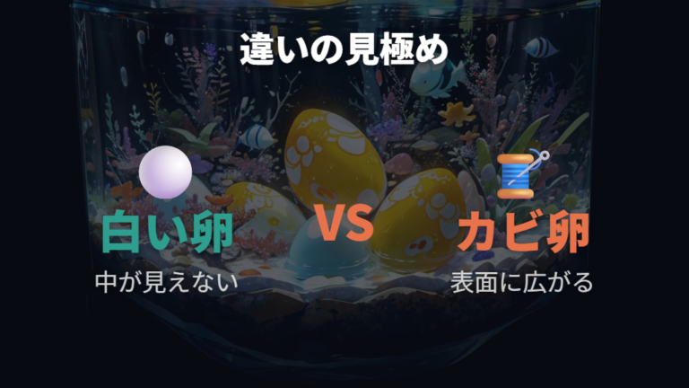 カビた卵との違いは白いモヤと広がり方で判断する
