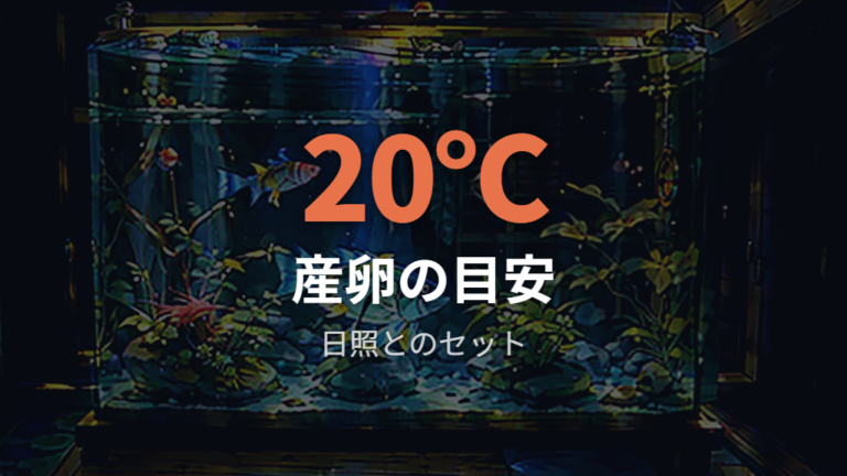 産卵を促す水温と日照時間を比べて整える